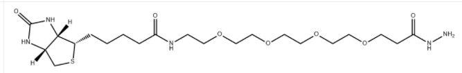 CAS:756525-97-0 Biotin-PEG4-Hydrazide 