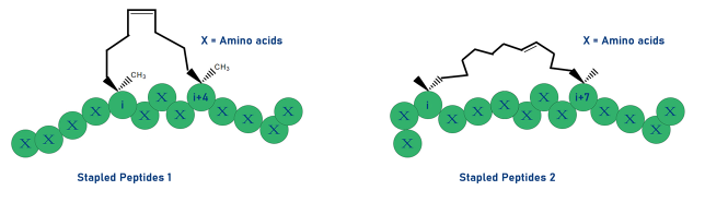 订书肽 Hydrocarbon stapled peptides