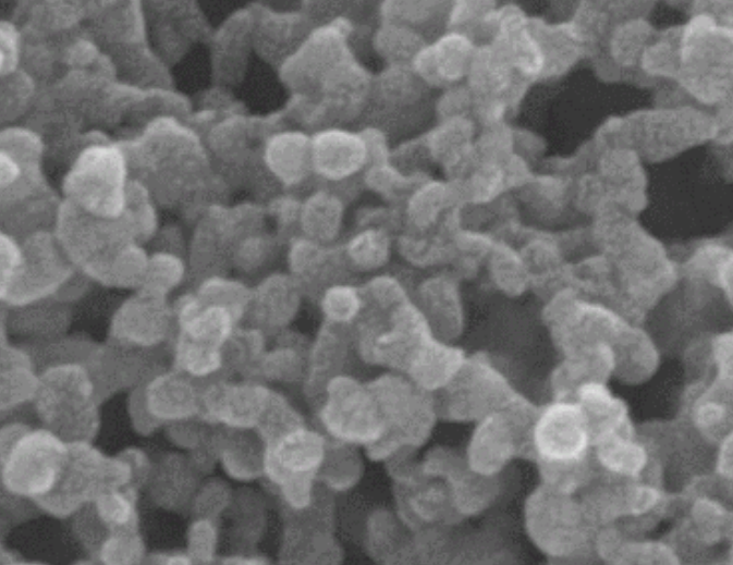 多孔单晶钯纳米颗粒   