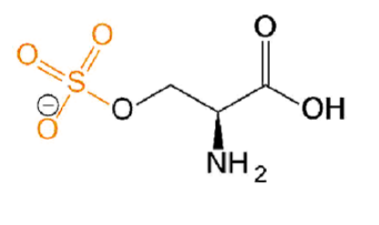 磺酸化丝氨酸，O-Sulfo-L-serine，Ser(SO3H2)
