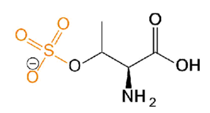 Thr(SO3H2) 磺酸化苏氨酸 O-Sulfo-L-Threonine
