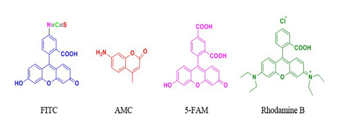 FITC&AMC等荧光标记技术（技术特点的分析）