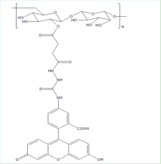 葡聚糖-环糊精