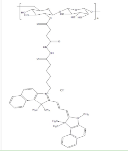 葡聚糖-Cy3.5
