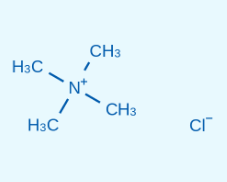 75-57-0 四甲基氯化铵 Tetramethyl ammonium chloride
