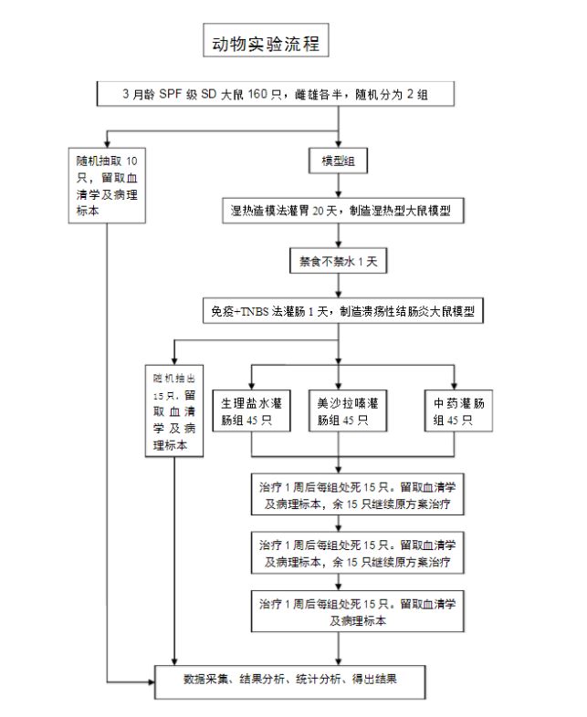 动物造模的实验原理以及实验流程