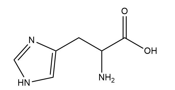 葡聚糖-组氨酸