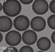 亲和素包裹的磁性四氧化三铁微球