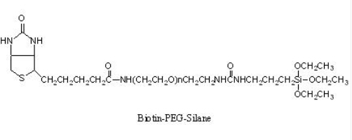 Biotin-PEG-Silane 生物素-PEG-硅烷