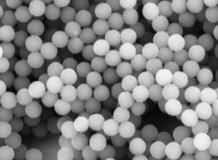 PEG化Fe3O4颗粒;PEG@USPIO；10nm