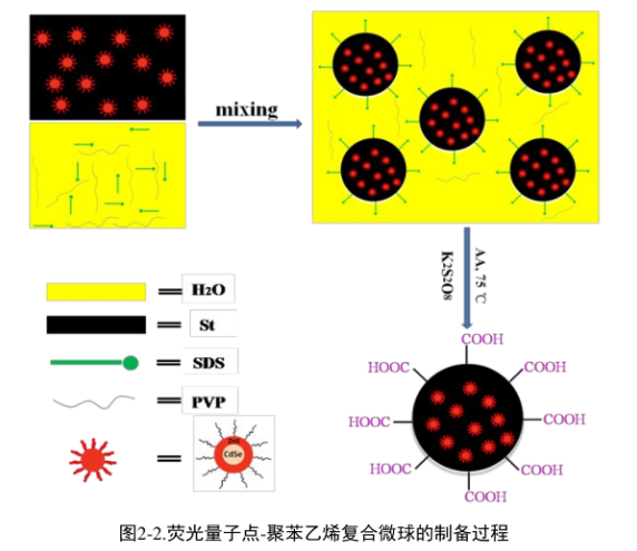 羧基功能CdSe/ZnS量子点@聚苯乙烯复合荧光微球