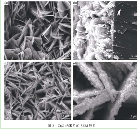 硫化铅量子点修饰氧化锌纳米片(ZnO/PbSQDs)