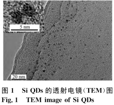 烯丙胺修饰硅量子点(SiQDs/Pd)