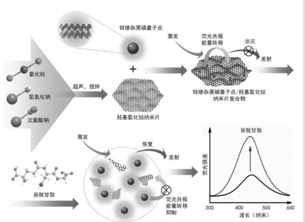 锌掺杂黑磷量子点