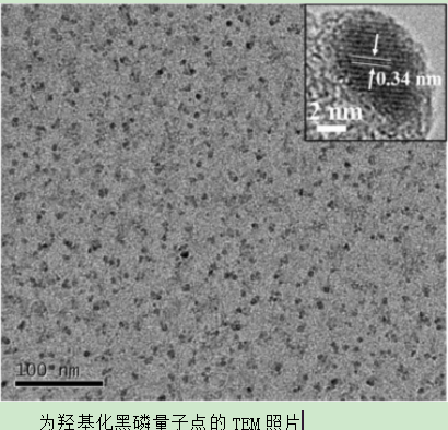 羟基化黑磷量子点(BPQDs)