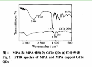 3-巯基丙酸修饰碲化镉量子点