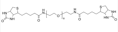 PEG-2Biotin 聚乙二醇-双生物素基 