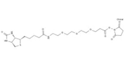 Azido-PEG8-TFP ester 叠氮-八聚乙二醇-五氟苯酯 CAS：1818294-49-3