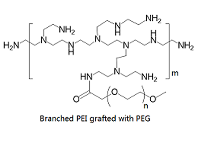 支化聚乙烯亚胺-接枝-聚乙二醇 接枝共聚物 PEG化聚乙烯亚胺 PEG-g-PEI (PEGylated branched PEI)