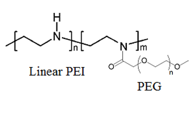 PEG-g-PEI 聚乙烯亚胺-接枝-聚乙二醇 接枝共聚物 PEG化聚乙烯亚胺 