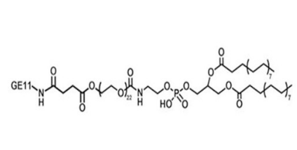DSPE-PEG-GE11，磷脂-聚乙二醇-肿瘤细胞表皮生长因子肽GE11
