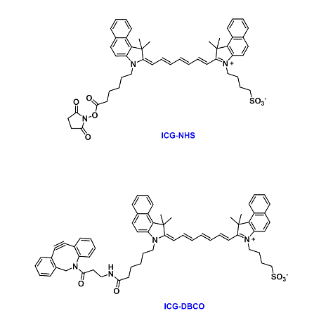 ICG-COOH、Sulfo-ICG-COOH、ICG-NHS