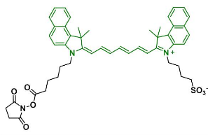 ICG-NHS(mono-sulfo-cy7.5 NHS) ，1622335-40-3