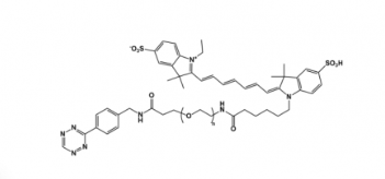	Tetrazine-PEG-Cy7