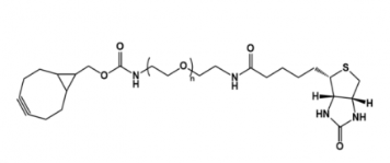 	BCN-PEG-Biotin