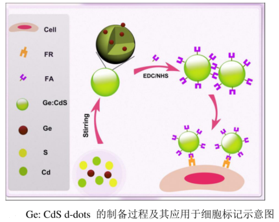 水溶性锗掺杂硫化镉量子点