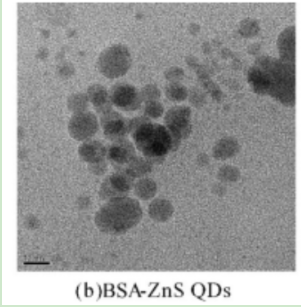 牛血清白蛋白包裹ZnS量子点