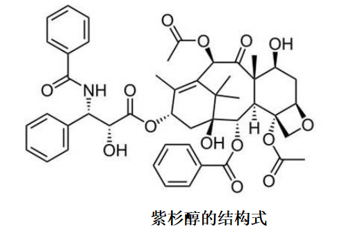 紫杉醇的结构式