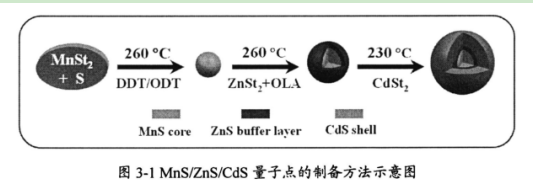 锰掺杂硫化镉量子点