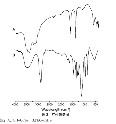 ：PEG修饰CdTe量子点