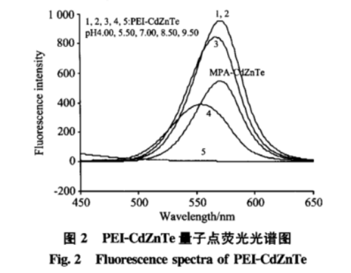 PEI修饰CdZnTe量子点