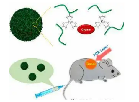 ICG-HES-SS-DOX，荧光染料包载羟乙基淀粉标记阿霉素