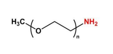 甲氧基聚乙二醇胺   mPEG-NH2    mPEG-Amine