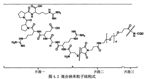 Mal-PEG-NHS偶联碳量子点CQDs