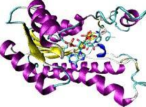 TAQuest qPCR Master Mix 用于TaqMan探针