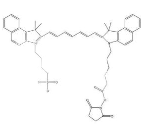 ICG NHS ester