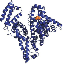 Chloride-PEG-BSA	氯化物-聚乙二醇-牛血清白蛋白  氯化物PEG牛血清白蛋白