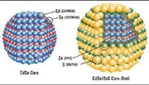 PEG-COOH修饰油溶性CdSe/ZnS量子点