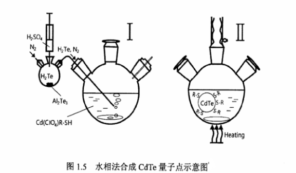 蛋白质核糖核酸酶修饰碲化锌ZnTe量子点