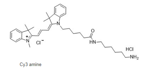 Cy3-amine, cas:2247688-56-6 荧光染料