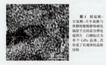 RGD-CdTeQDs