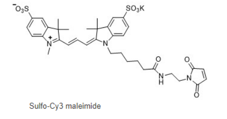 Sulfo-Cyanine3 maleimide, 1656990-68-9,水溶性CY3马来酰亚