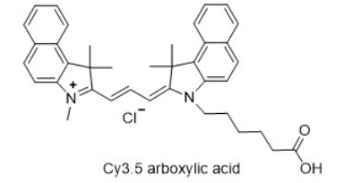 Cy3.5-羧基