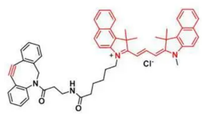 Cyanine3.5 DBCO