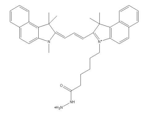 Cy3.5-HZ