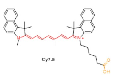 海藻酸钠-菁染料CY7.5